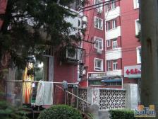东大桥·关东店·2室·1厅