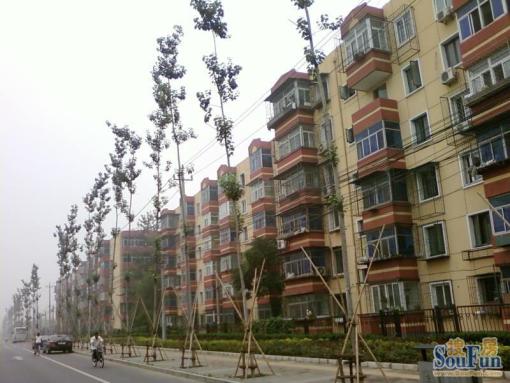马连洼菊园4室1厅1卫南北朝向7500.00元/月出租