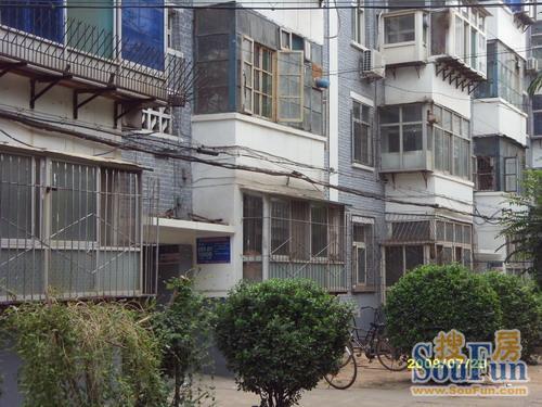 石药第三生活区1室1厅1卫南朝向900.00元/月出租