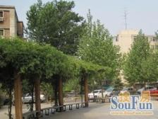 知春路56号院可以养花,养草,房子知春路地铁口旁