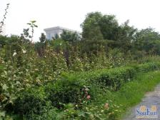 倚山嘉园南北通透两居室,视野开阔,采光充足。