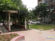 满五唯一明厨明卫南北通透格局