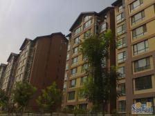 东坝·奥林匹克花园三期·4室·2厅