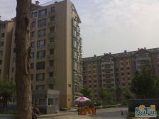 新上东坝奥林匹克花园,南北通透,复式,挑空客厅,满五年一套