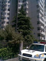 和平里六区3室1厅东北