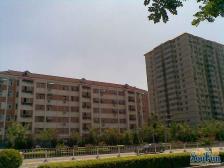 和平街十一区3室1厅南北