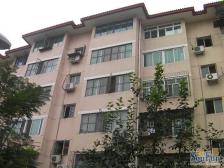 北苑地铁万达国贸公交正规三居室满五唯一采光充足