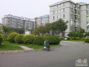 中泽雅园1室1厅南北