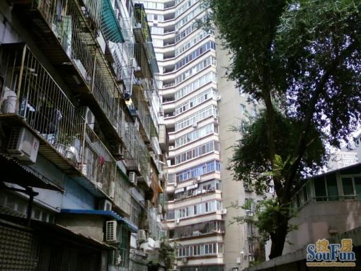 西坝河东里3室1厅1卫南朝向9000.00元/月出租