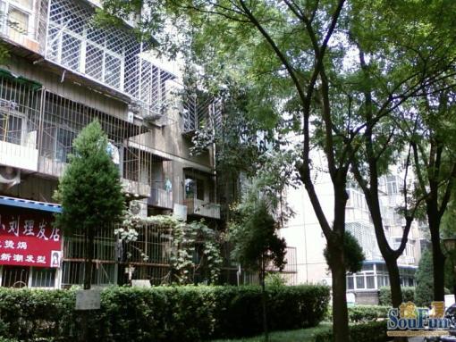 西坝河东里3室1厅1卫南北朝向8400.00元/月出租