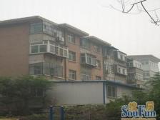 山大路238 2室1厅 南