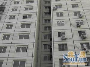新风北里3室1厅东南北