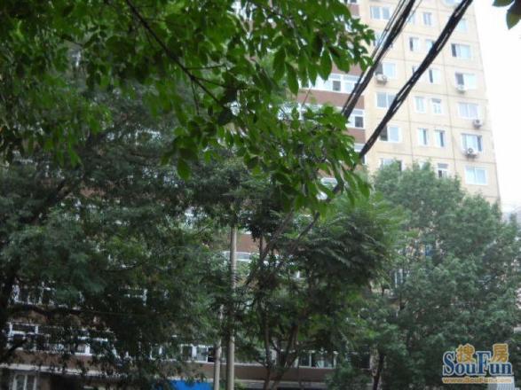 茂林居社区