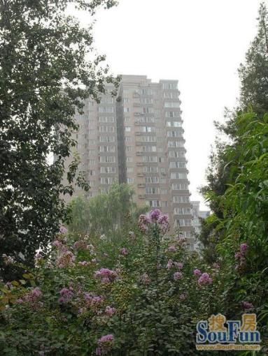 复兴门北大街小区2室1厅1卫南朝向7800.00元/月出租