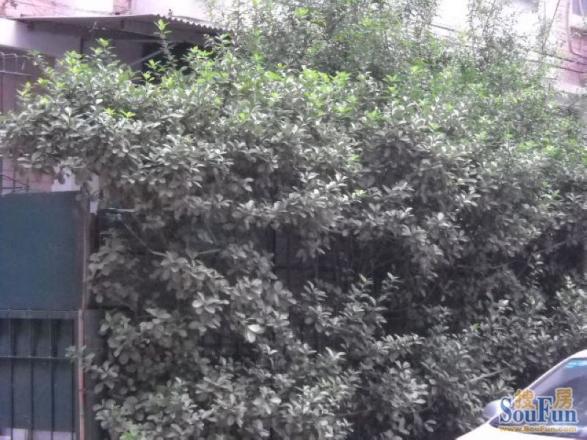 阜成路26号院