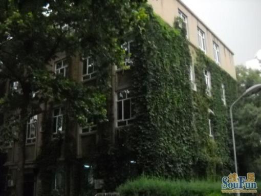 西三环北路105号院3室1厅1卫东南朝向11000.00元/