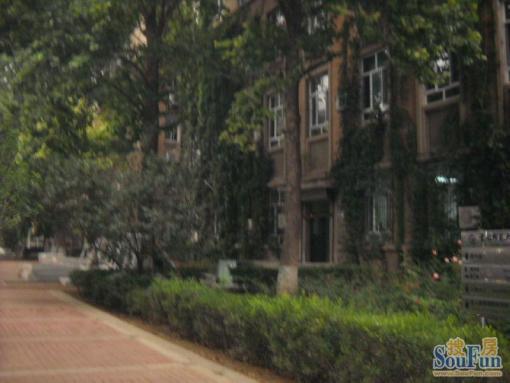 西三环北路105号院1室1厅1卫南北朝向5000.00元/月