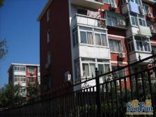 农科院中国农科院家属楼中关村南大街12号