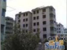 紫苑小区02年小区,楼层好标准大两房,采光很好有钥匙