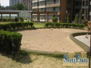 新上东城,东城西青年沟,优质南向1居,全新改造社区