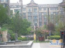 银杏大道装点的洋房,花香四季,好楼层,诚心售卖