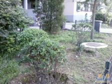 官园胡同2室1厅南北