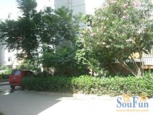 2号线地铁口,配套成熟2室一厅,户型方正,采光好