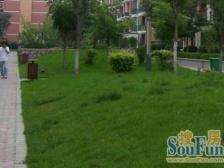 西现代城双气三房 外 高 对 面 业主诚心出售