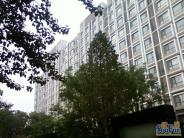 ������԰¥��ͼ