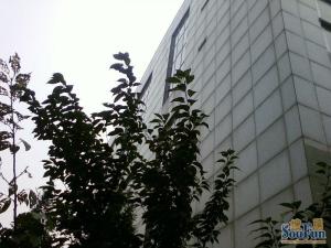 韦伯时代中心1室1厅西南
