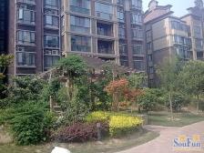 电梯洋房 诚心出售 随时看房 通透户型 急售好房