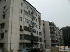 朝阳区带正规客厅南北通透格局位置好楼龄新