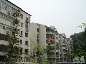 北平里3室1厅南北