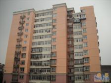 东平里2室1厅南北