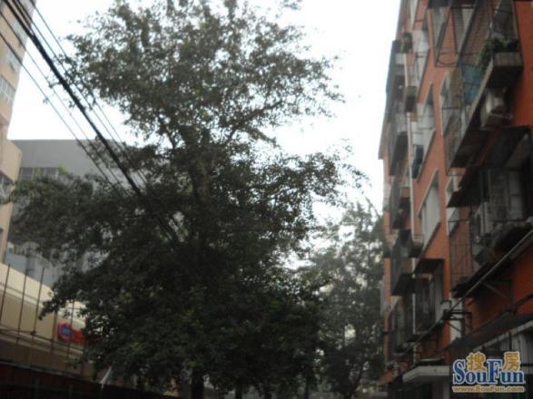 北三环中路43号院