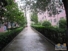 (精选)经三路旁 顶楼 诚心出售金水主城区