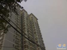 特区8082室1厅南东
