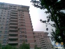 看东风体育公园采光好满五唯一24小时大堂
