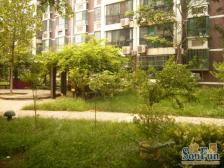 齐鲁花园 一梯两户电梯 精装两居+地下室 有租赁车位