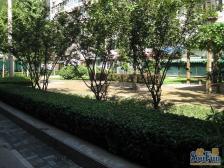 商品房满五唯一,中间楼层,精装修拎包住