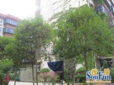 二环边近地铁电梯小高层大两室2梯8户