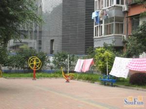 东直门十字坡西里正规南北通透三居室