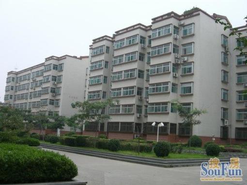 东方花园2室1厅1卫南朝向1900.00元/月出租