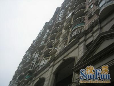 新文化花园新丽居3室2厅2卫南北朝向7800.00元/月出租