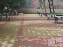 燃气公司家属院 双气一楼带院子 外总