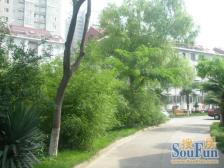 富田陇海花园 带电梯在三楼 汝河路 和57中东