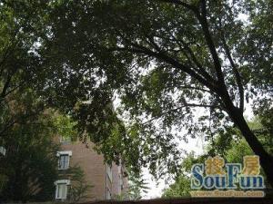美丽静淑苑满五唯一商品房好楼层精装修价可谈