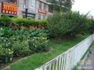 �ζ���԰һ���ܱ�
