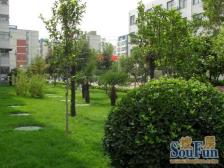 碧云路,2000年,双气,临地铁,可上春晖