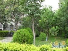 地铁口 多层一二楼复式带地下室 带50平私家花园